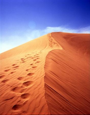 dunes2