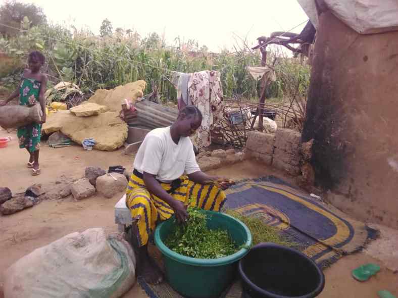 0af9a9e3-183f-416a-bed1-ca96c7d6d93b